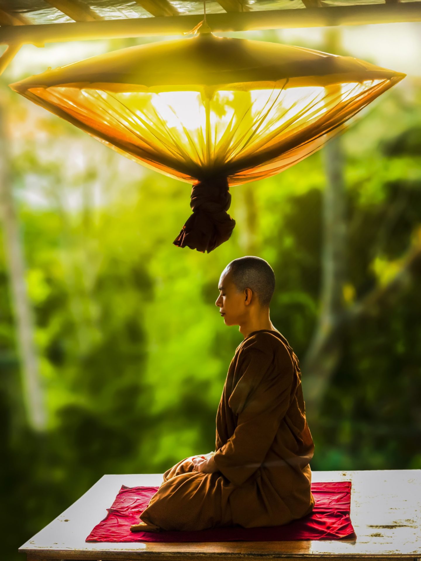 Meditation and Tibetan medicine_2